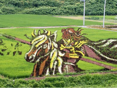 田んぼアート