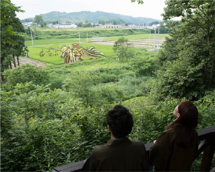 田んぼアート