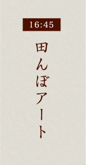 16:45田んぼアート